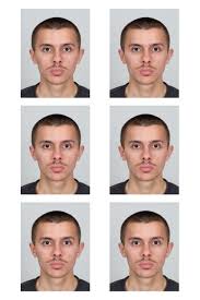 Photographe à Marseille - Stenopia